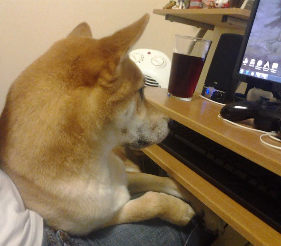 东契奇锋芒，当个人艺术遇见雄鹿铁壁的集体哲学