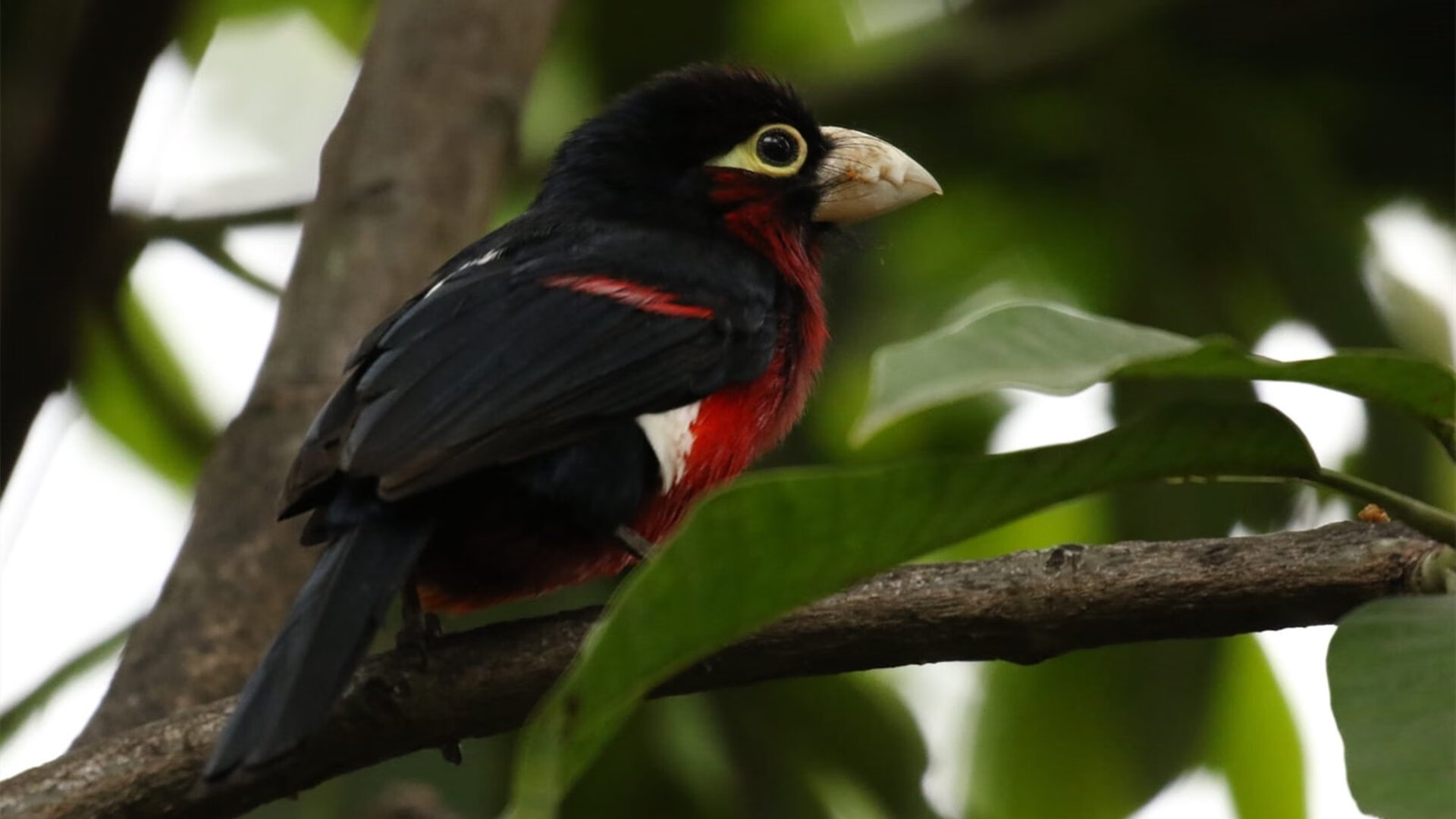 起跑线上，当跃马引擎的轰鸣，遇见上帝撕裂防线的瞬间