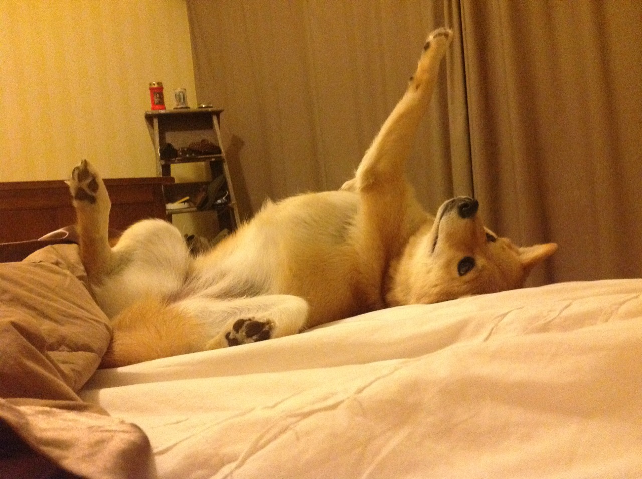 数字炼金术,从阿圭罗的数据风暴到澳大利亚的硬仗智慧