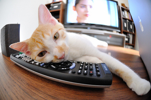 雷火电竞亚洲先驱-欧冠史诗级抢七，桑巴风暴压境，巴黎王朝夜坠卢浮