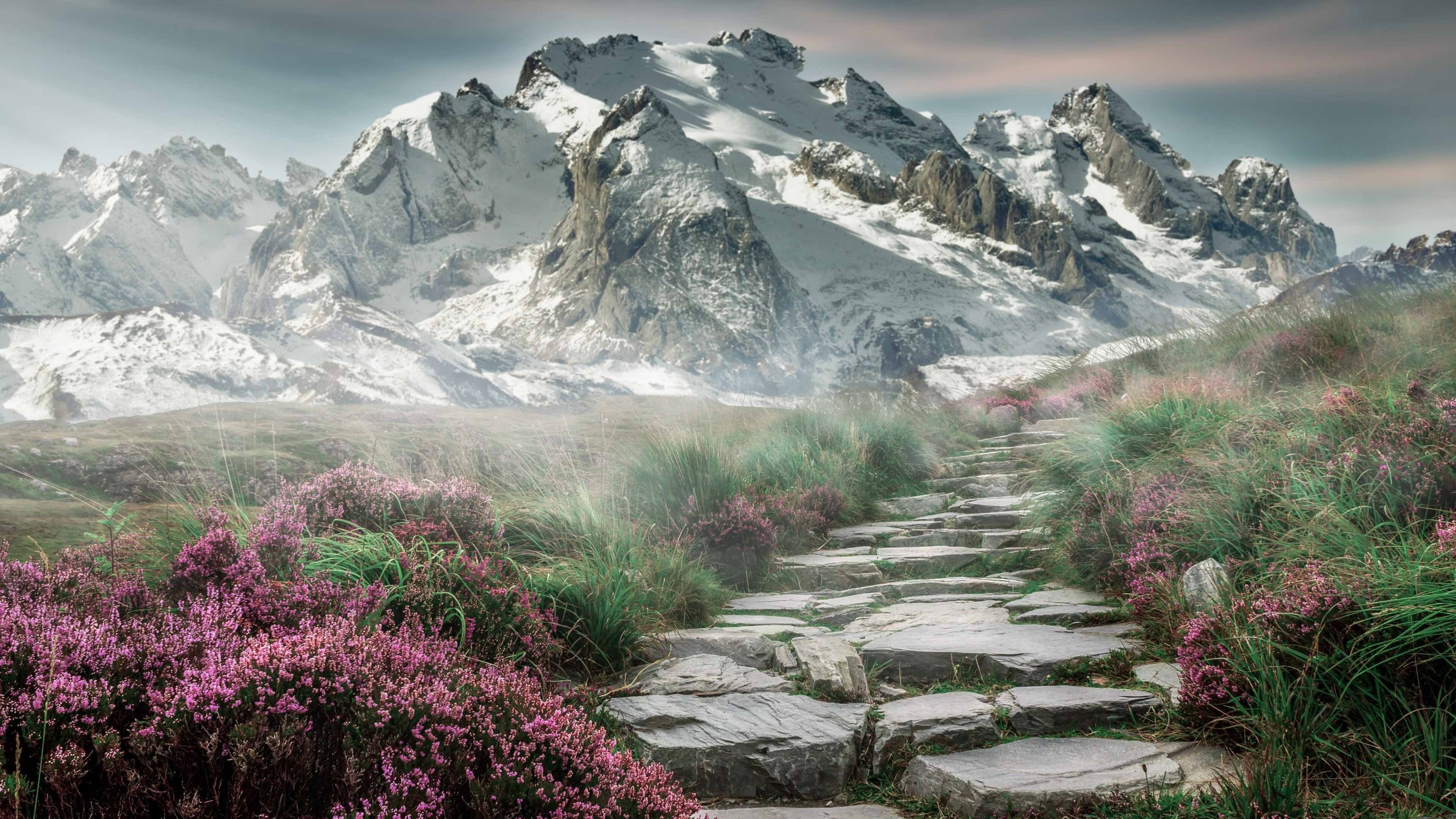 雷火电竞下载-当斑马军团遭遇高原雄鹰，西决生死战映照下的足球文明冲突