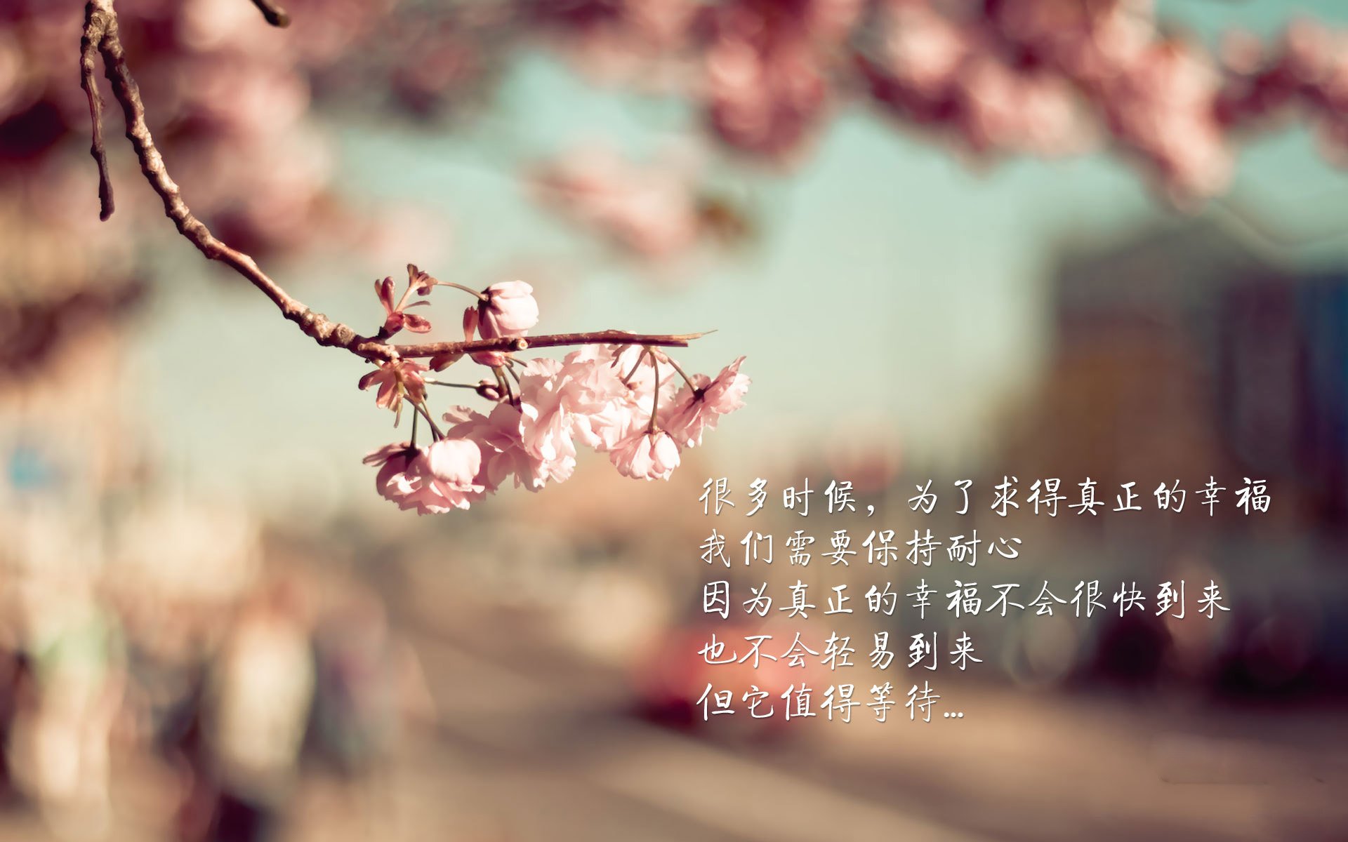 雷火电竞主播-唯一性的见证，国王打穿魔术与莫兰特欧冠半决赛的统治表现