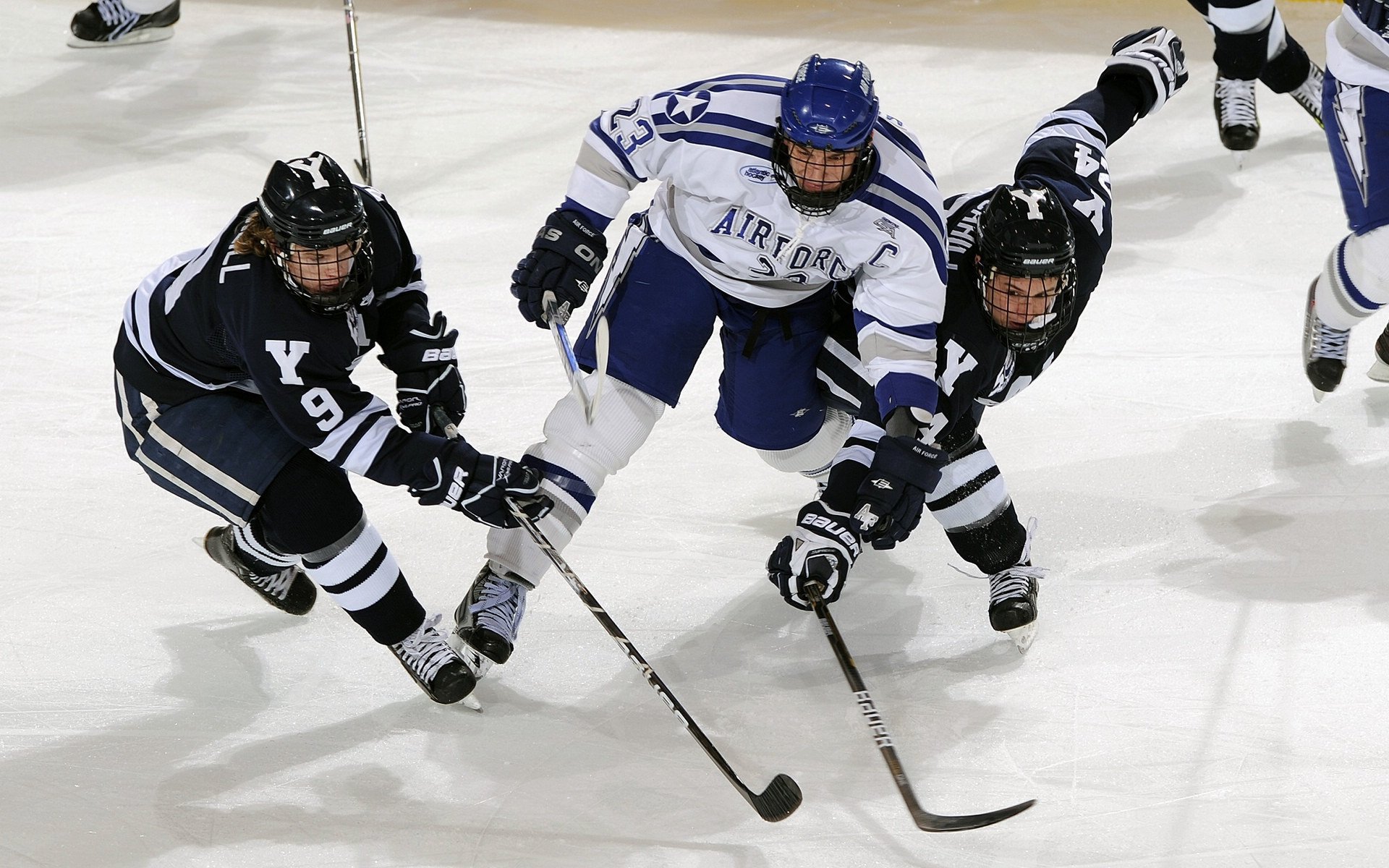 体育无疆界，从德甲争冠战到尼克斯强压上海队的全球竞技启示录