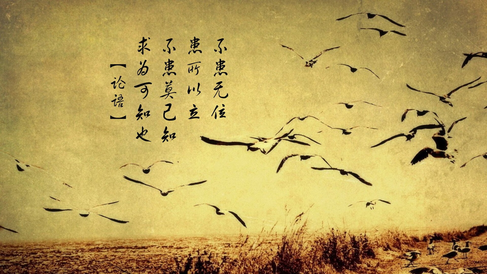 雷火电竞亚洲先驱-超维竞赛，当保罗数据流全面爆炸，新疆飞虎于虚拟战场强压金州勇士