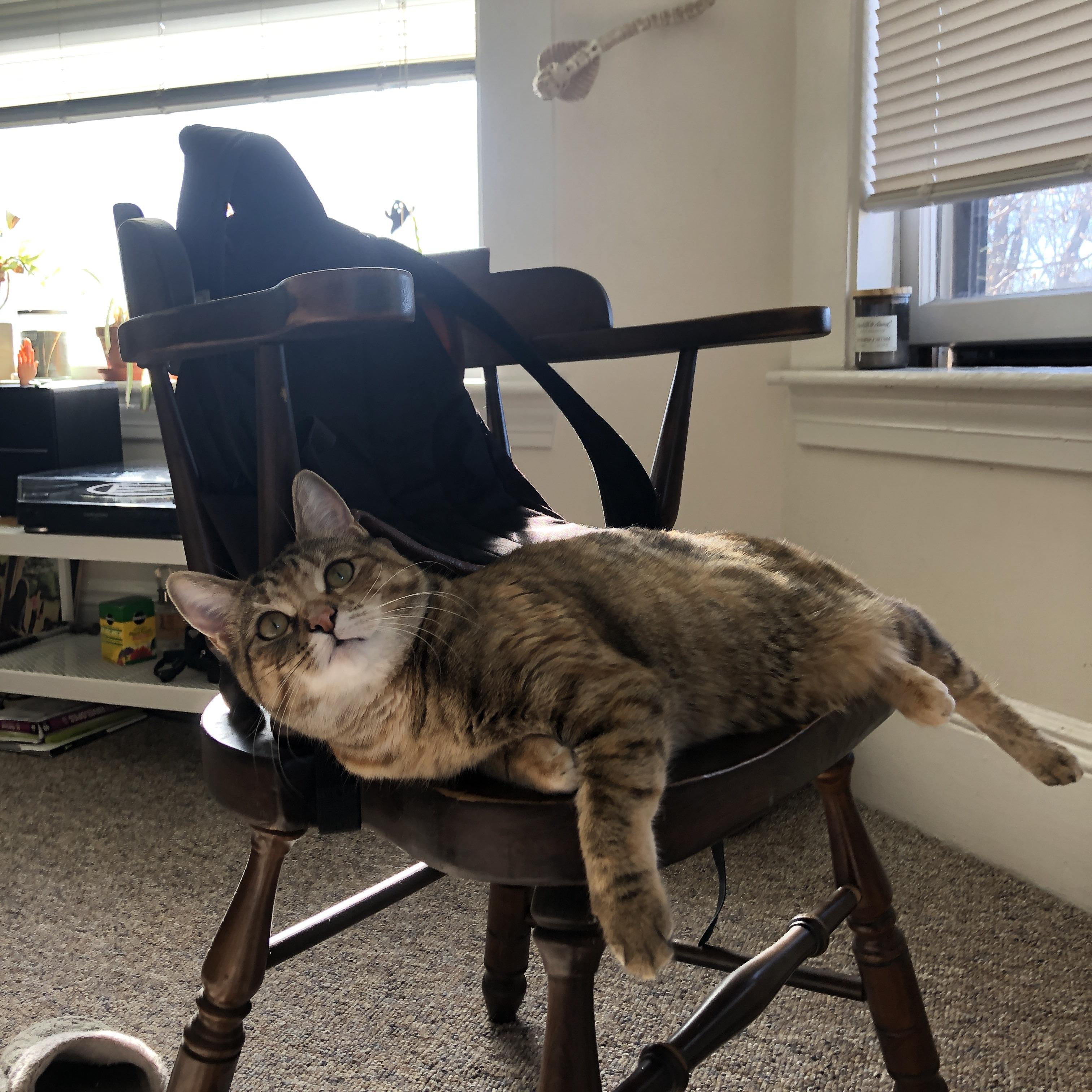 纽博格林弯道的扭力扳手，当克瓦拉茨赫利亚成为皇马加纳之战的唯一变量