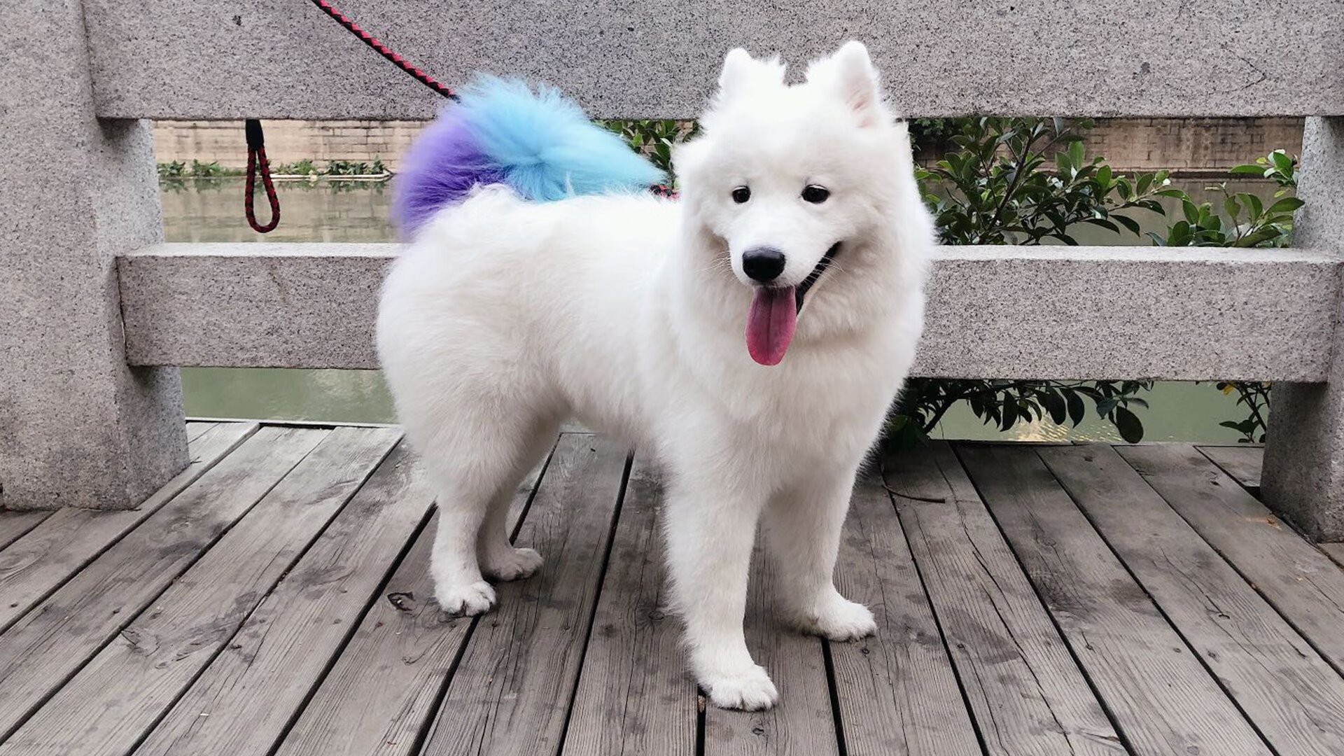 铁血绞杀！巴尔韦德爆发终结土耳其狂想