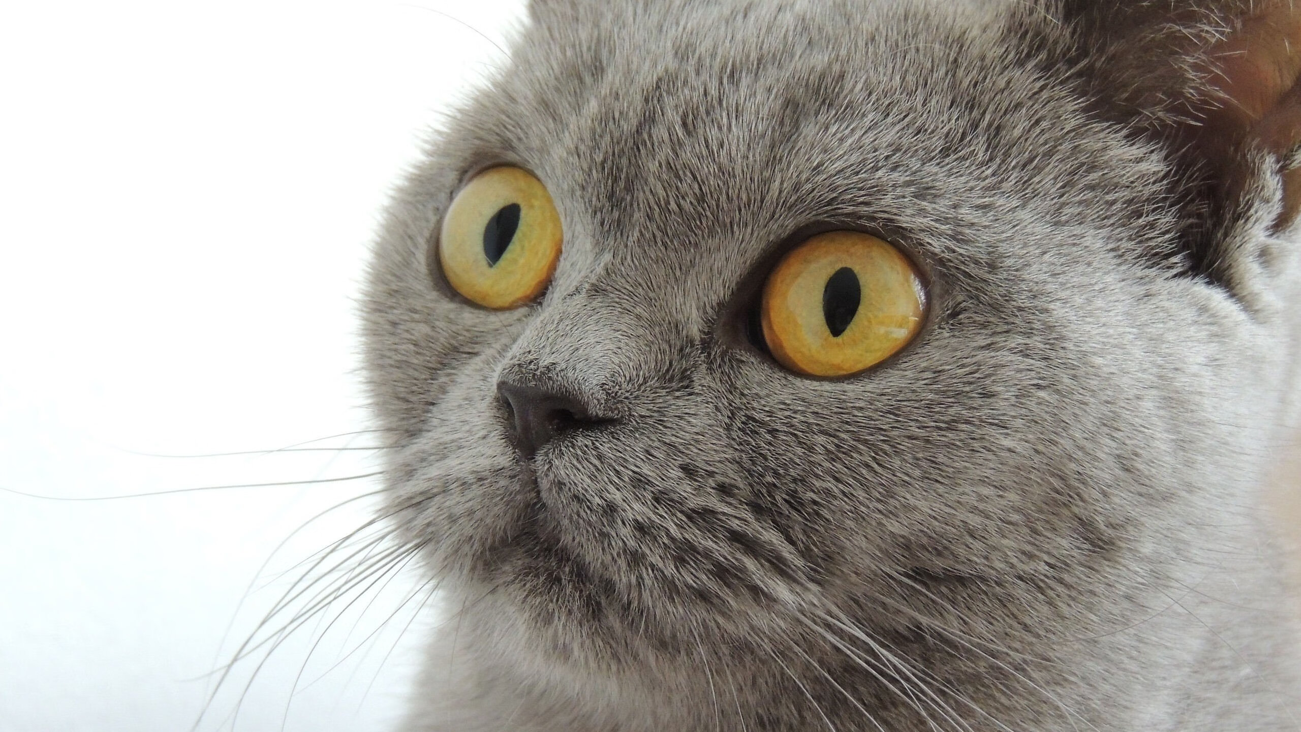 雷火电竞简介-瞬间，电光火石间，一瞬已永恒