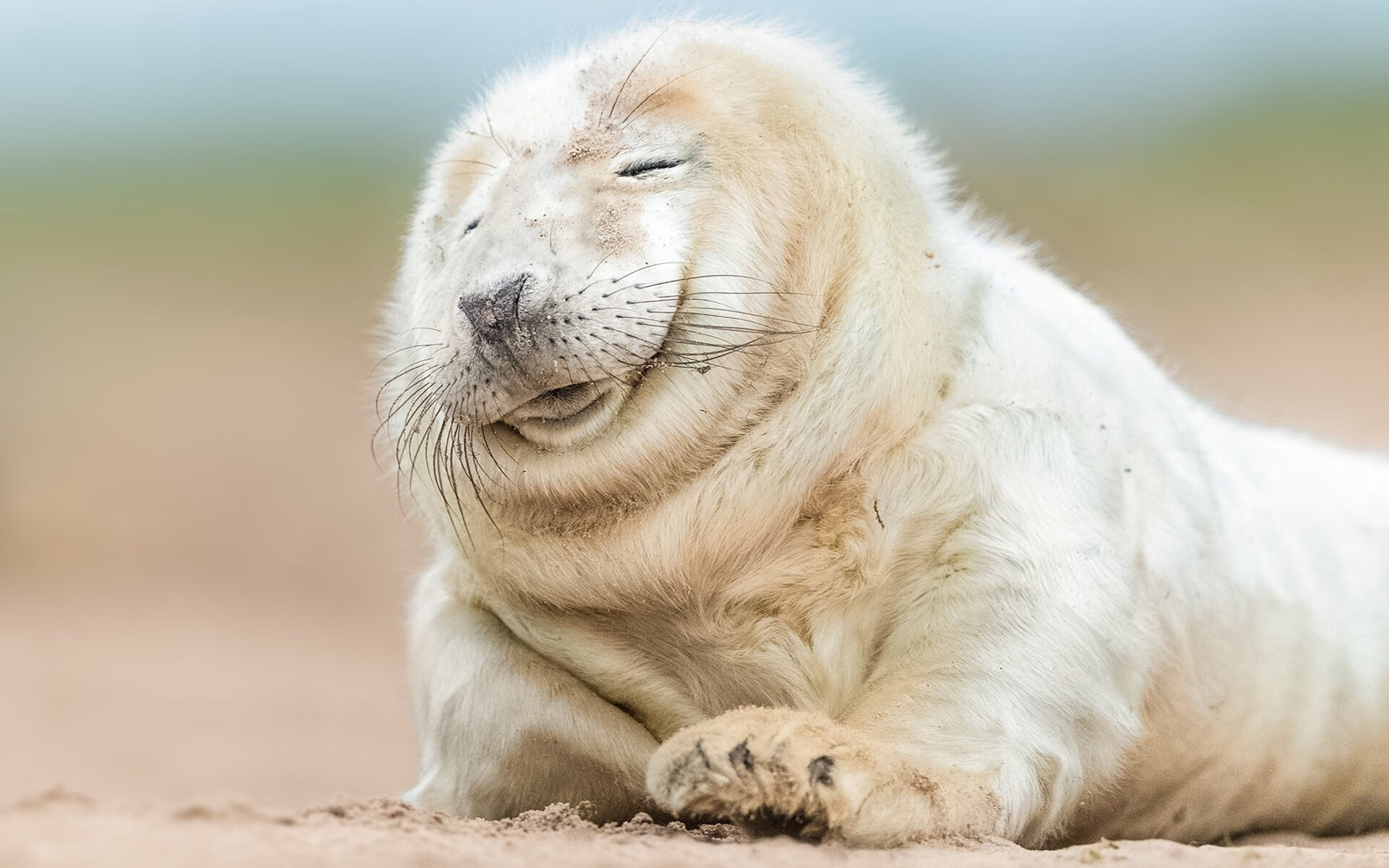 防线上的艺术,阿劳霍式防守如何决定F1年度王冠的归属