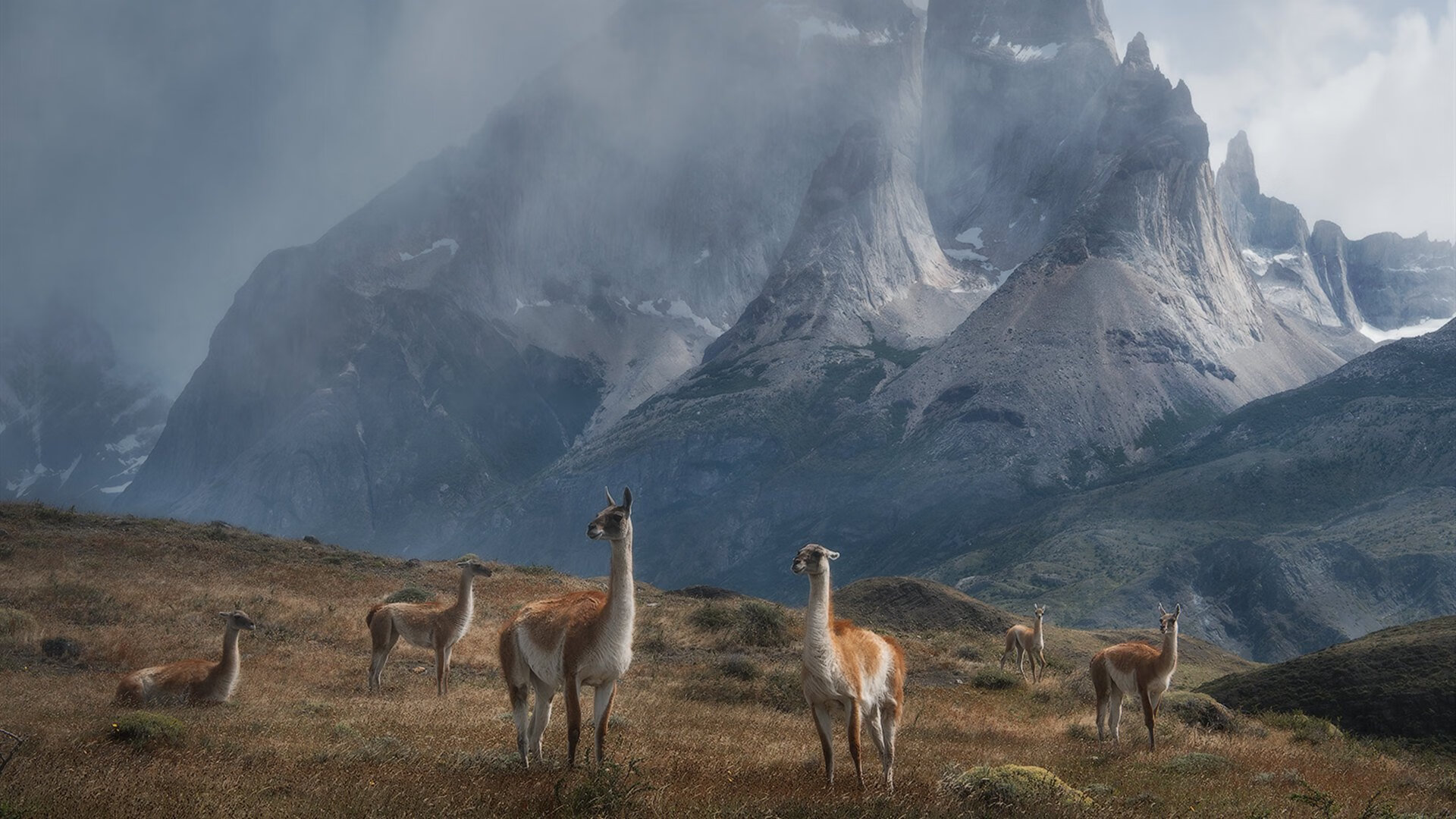 雷火电竞下载-山西力压广东演黑马逆袭，马克西统治级数据掀起新风暴