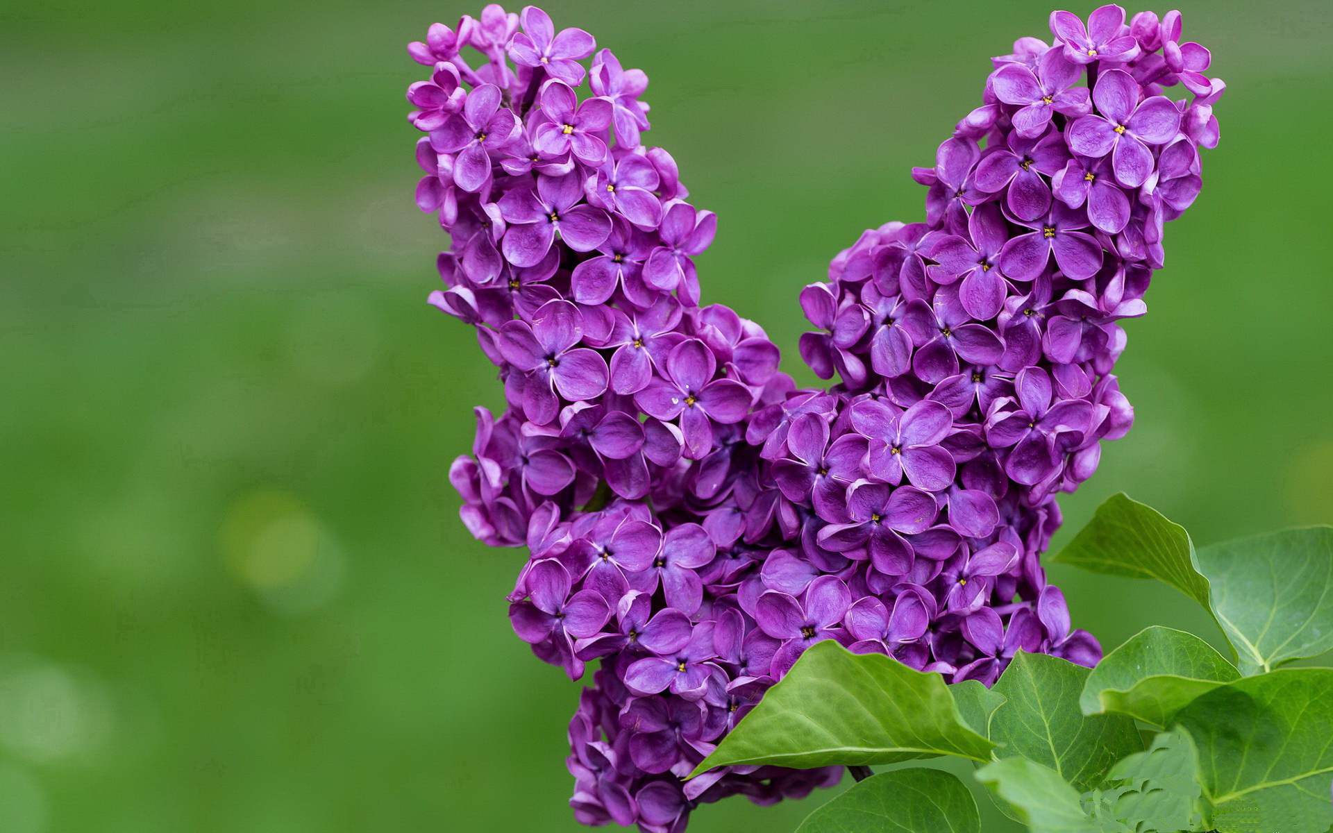 唯一性！小贾伦跨维度爆发，太阳单节24分洪流冲垮广东队