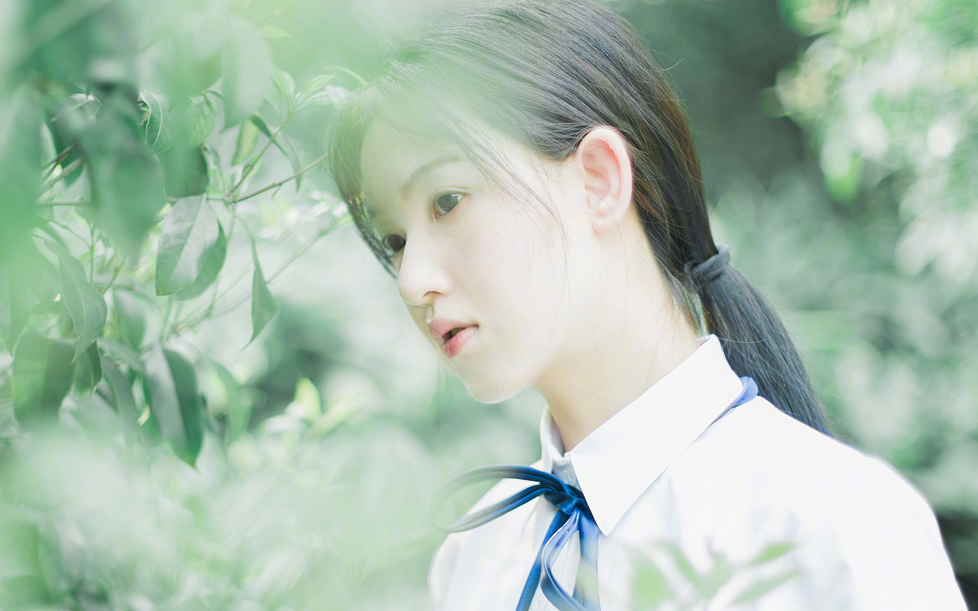 中美篮球对话新篇，深圳队强势拿下尼克斯，布克持续制造杀伤书写传奇