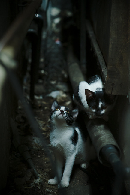 东决关键战之夜，切特攻防转换的隐形密码