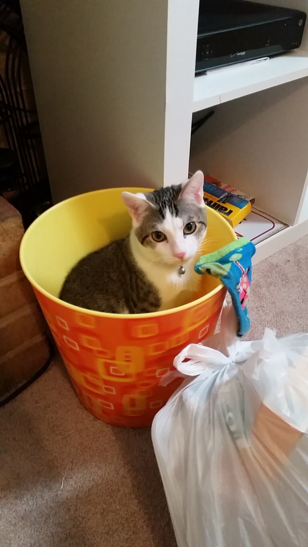 绿茵战场上的独舞与铁血洪流，奥利维耶的爆发与喀麦隆的压制美学