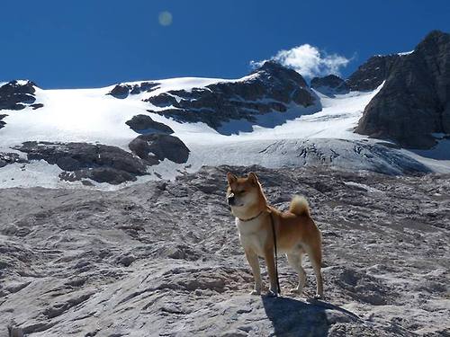 北海边境的突围，当苏格兰封锁了通往马里的赛道，哈弗茨却在F1新赛季的迷雾中接管了方向盘