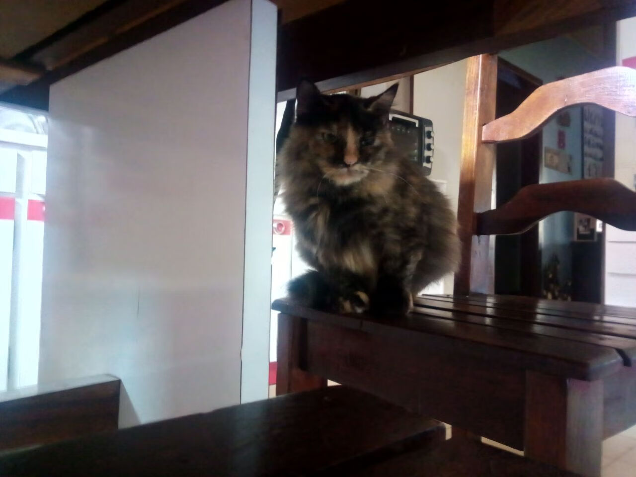 摩洛哥vs丹麦，罗德里戈的双重身份—攻防两端铸就唯一的神话