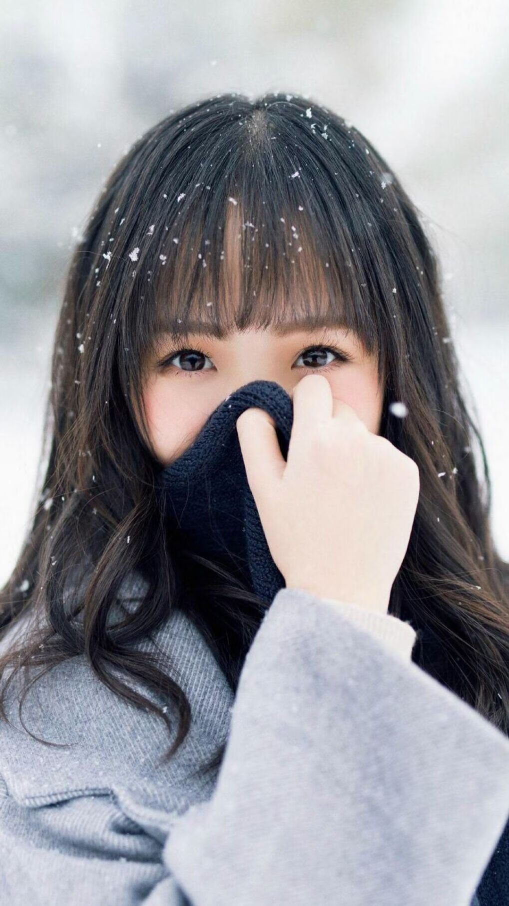 被低估的范乔丹，当NBA冠军控卫遇上CBA劲旅，他用一场比赛重新定义实力