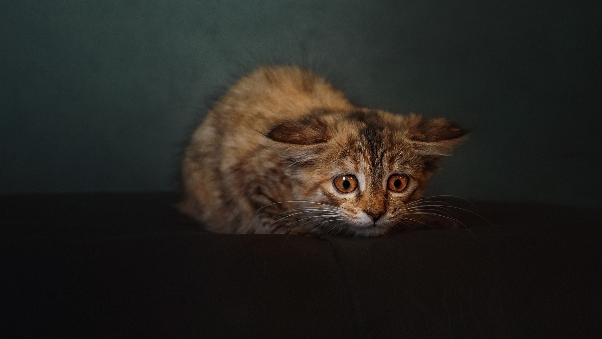 扩展思维后）