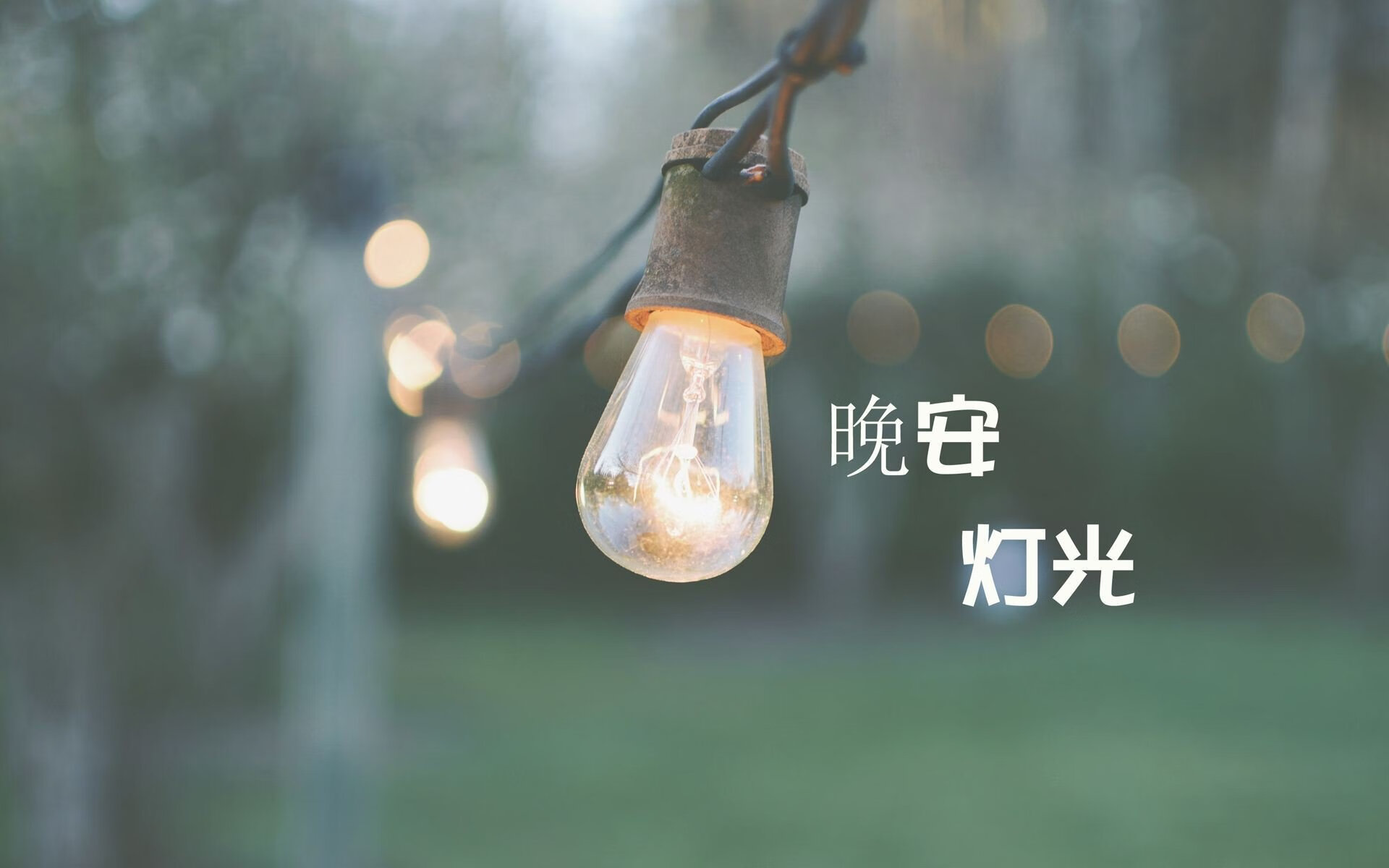 沙漠绿洲的逆袭，哥斯达黎加如何用铁血防守与哈基米的犀利进攻，在2026世界杯D组焦点战中压制阿联酋