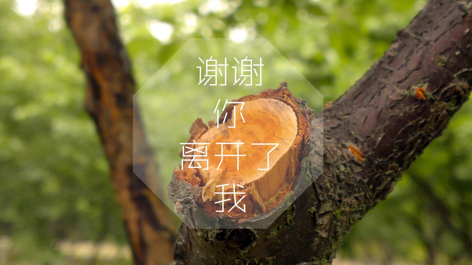 2026世界杯E组焦点战,瑞士碾压智利,姆巴佩王者归来,替补奇兵一剑封喉