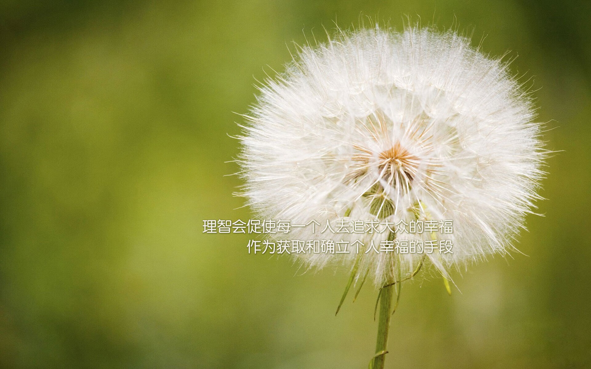 黑马狂飙，2026世界杯焦点战，哥斯达黎加横扫美国，德布劳内客串主导惊天冷门