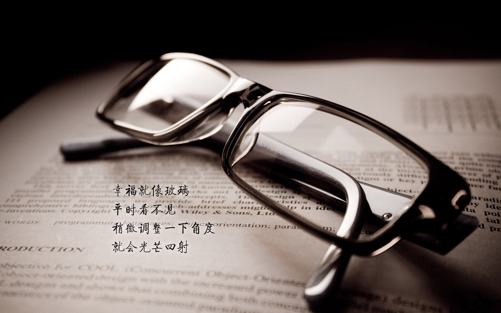 橙色盾牌的最后独白,当范戴克的致命一击,将2026的沙漠与草原劈成两半