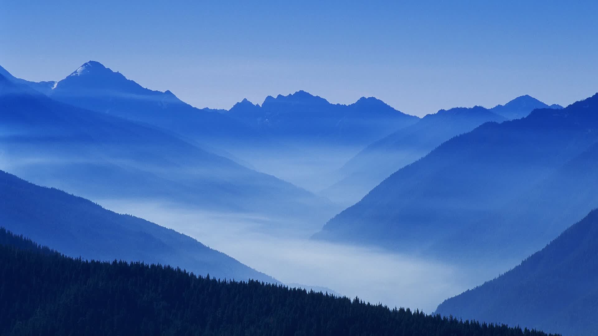 唯一性的定义，当巴西的桑巴狂潮遇上C罗的孤勇星光
